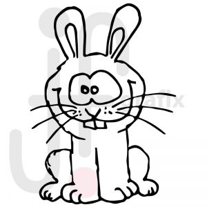 Hase 013