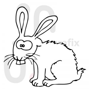 Hase 015