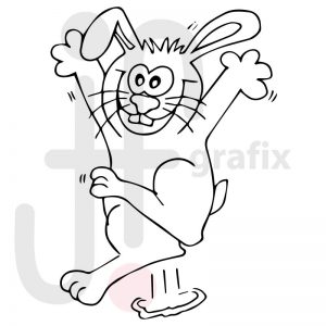 Hase 019