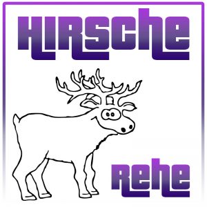 Hirsche / Rehe