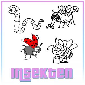Insekten / Kleine Tiere