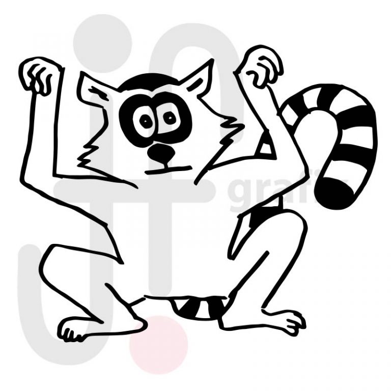 Katta 005 Tierisch gut! Tierbilder