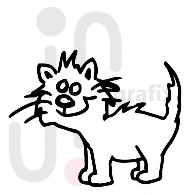 Katze 018 Tierisch gut! Tierbilder