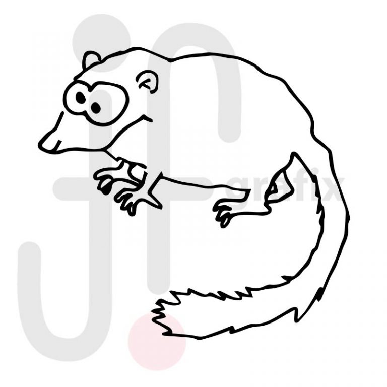 Siebenschläfer 001 Tierisch gut! Tierbilder