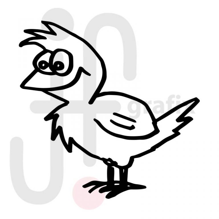 Vogel 010 Tierisch gut! Tierbilder