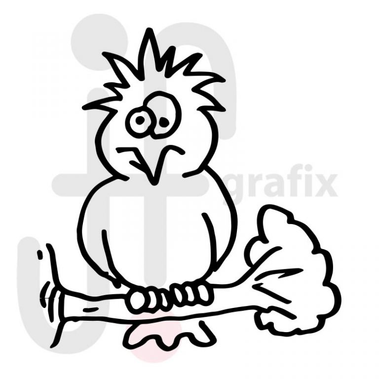 Vogel 012 Tierisch gut! Tierbilder