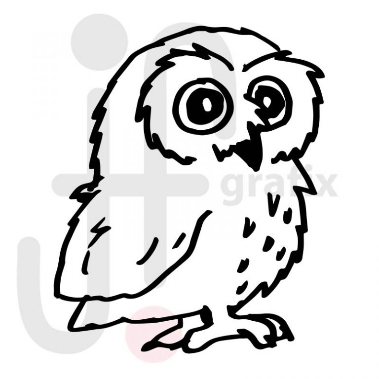 Eulen 001 Tierisch gut! Tierbilder