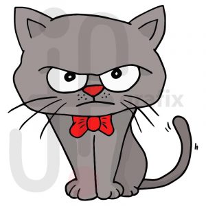 Katze-15-farbig-grumpy cat