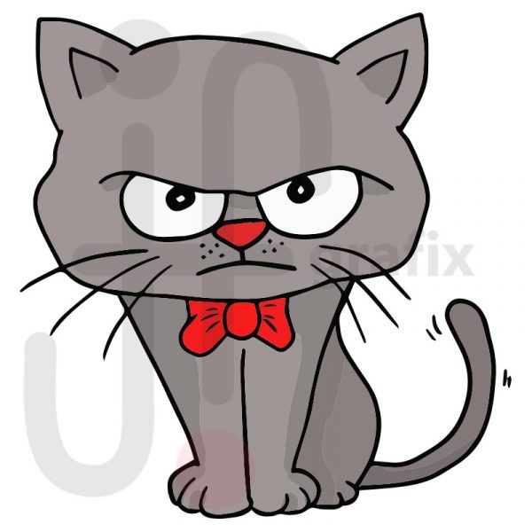 Katze-15-farbig-grumpy cat